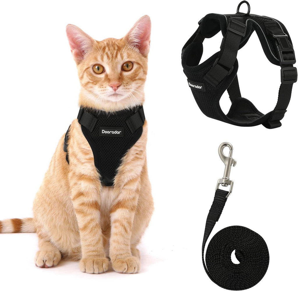 Pet Harness