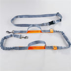 Hands-free leash for dogs and cats