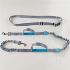 Hands-free leash for dogs and cats