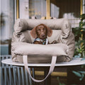 Waterproof Pet Travel Car Seat Cushion for Dogs
