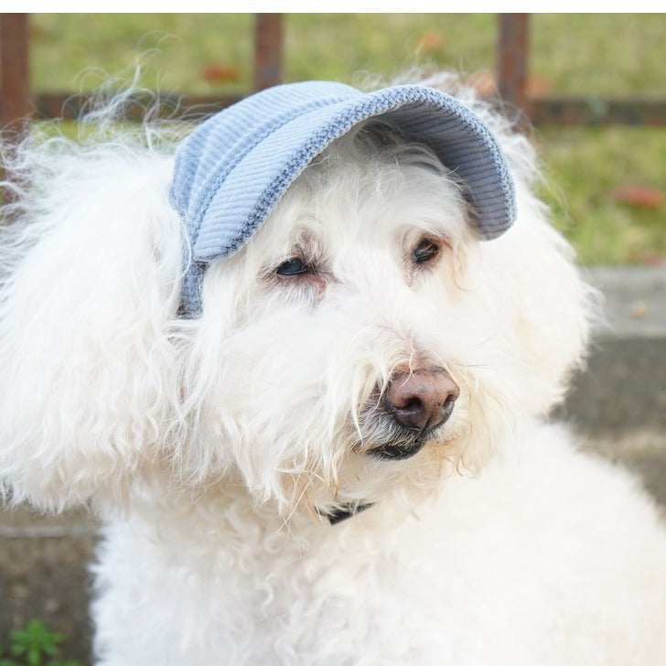 Corduroy Pet Sun Hat for Dogs & Cats