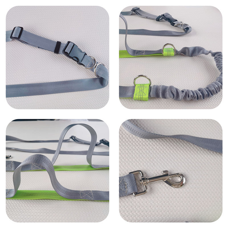 Hands-free leash for dogs and cats