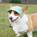 Corduroy Pet Sun Hat for Dogs & Cats